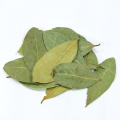 China Factory Supply Wholesale Good Price Dehydrated Dried Natural Organic Bay Leaves